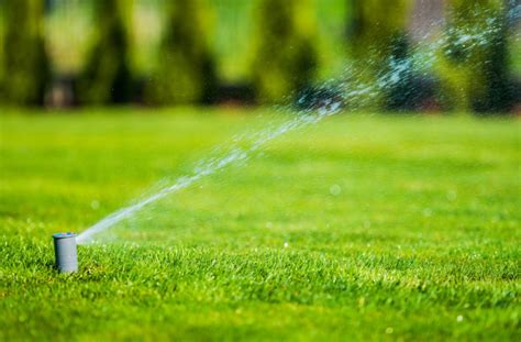 Manutenzione Impianti Di Irrigazione A Montebelluna Garden Time