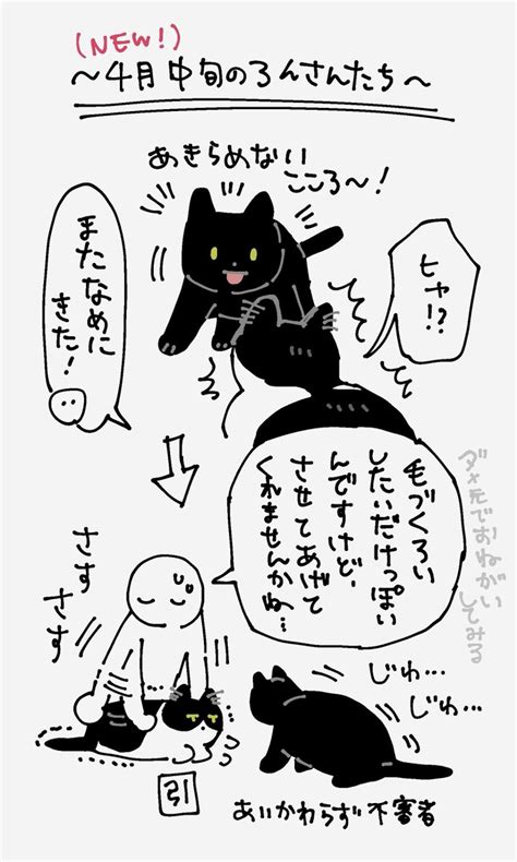 𖤣𖥧あめ𖥧𖤣 On Twitter Rt Bou128 ろんさんの毛づくろいチャレンジの続報 1 2枚目は再掲