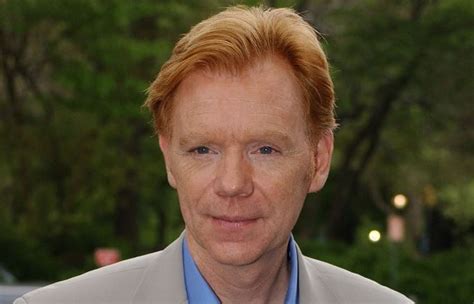 Patrimonio de David Caruso edad esposa Bio Wiki niños peso Venze