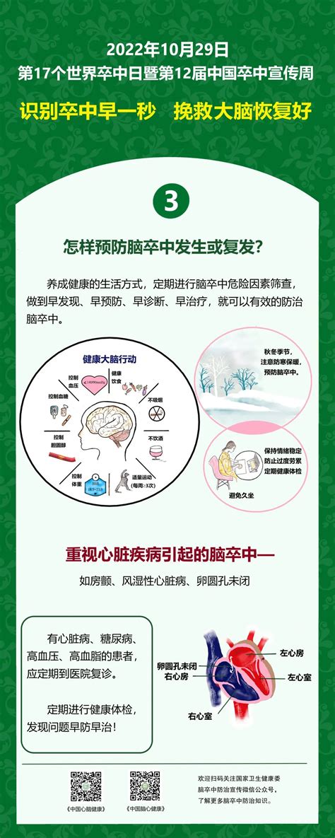 2022年“世界卒中日”宣传主题及要点发布！ 岚皋县人民政府