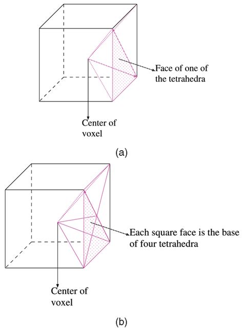 A Splitting A Voxel Into 12 Tetrahedra Two On Each Of The Six Faces Download Scientific