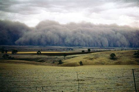 Dust storms - How bad are they? What to do during a dust storm? - Everything You Need Know