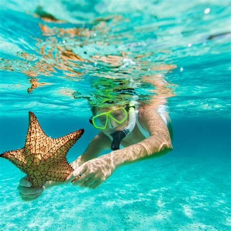 Snorkeling in the Caribbean - Travel Off Path