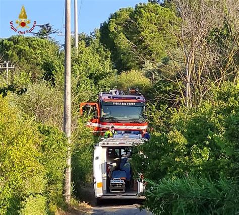 Mentana 58enne Si Ribalta Col Trattore Mentre Lavora Nelle Campagne Su