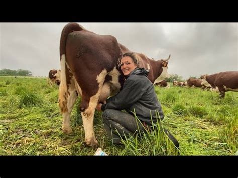 Malgaro Da Generazioni Simone Basso E Federica Botta Mungitura A Mano