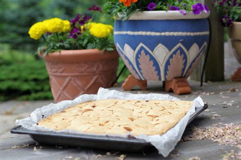 Sour Cherry Cake Squares – Sweet Thought