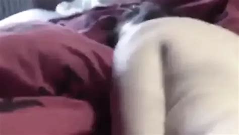 Gizelka Takie Tam Free Finger Porn Video 77 XHamster