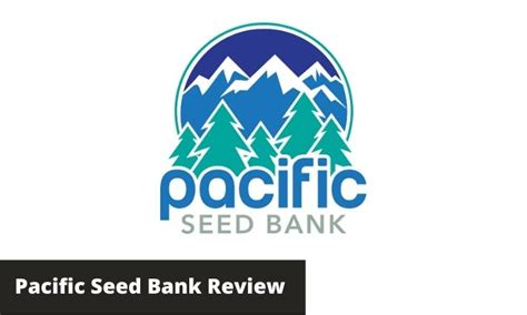 Pacific Seed Bank Review 2025 [My Experience] Good & Bad