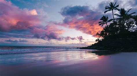 maui wallpaper  sunset tropical beach hawaii