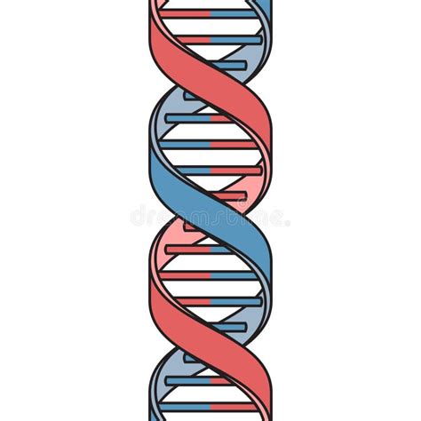 DNA Deoxyribonucleic Acid Diagram Medical Science Stock Vector ...