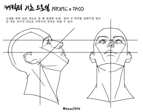 타코작가 On X 드로잉 강좌 해부학 예술 드로잉