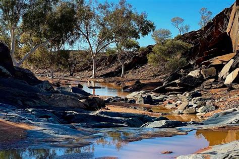 Broken Hill Camping & Caravan Park - Mt Gipps Station Stay