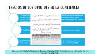 Opioides Revision Sistemica Del Tema Pptx