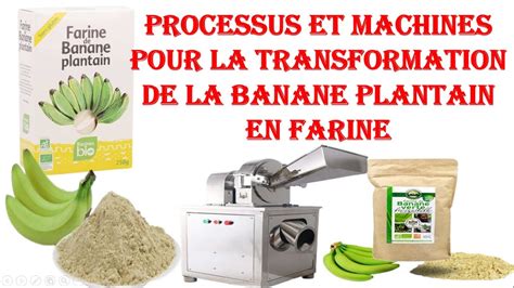 Machines Et Processus Pour La Transformation De La Banane Plantain En