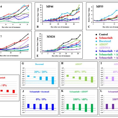 In Vivo Efficacy Of New Selumetinib Based Combinations Tumor Growth