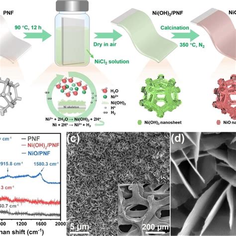 A Sketch Of The Synthesis Of Nio Nanosheet Arrays On Pressed Ni Foam