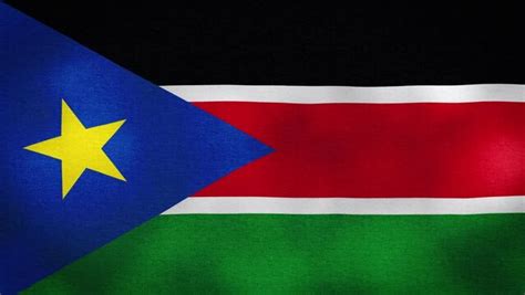 "South Sudanese Flag" Images – Browse 59 Stock Photos, Vectors, and ...