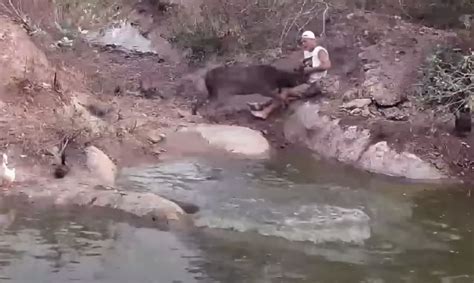 Video Frank Cuesta Explica Qu Pas Tras Ataque De Ciervo