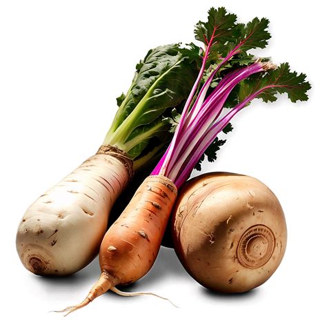 Download Root Vegetables Set Png 90