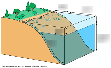 lake zones Diagram | Quizlet