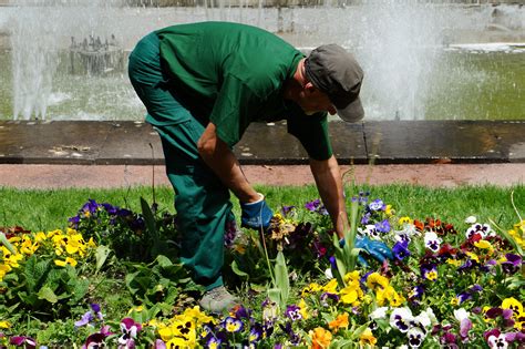 Beneficios De La Jardiner A Paisajista Por Qu Sembrar Durante El