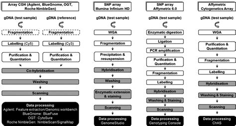 Overview Of ‘cytogenetics Oligonucleotide Arrays Workflow White