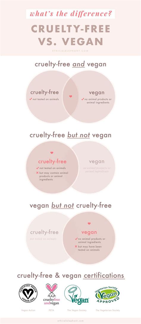 Cruelty Free Vs Vegan Understanding The Differences And Why They