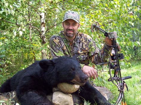 Beating Bear Hunt Bugs – Bowhunting.Net