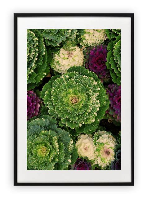 Plakat 40x50 cm Roślina Zieleń WZORY Printonia Sklep EMPIK