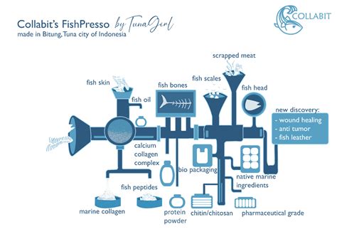 🐟 [#15] Sustainable Fisheries: What’s the Catch?