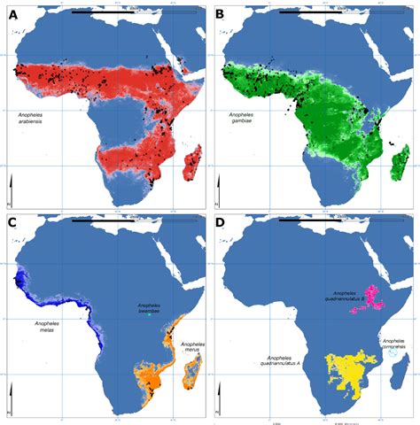 Speciation in Anopheles gambiae — The Distribution of Genetic ...