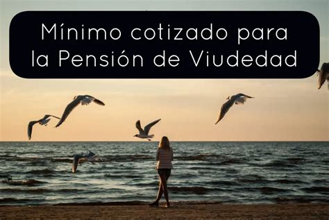 M Nimo Cotizado Para Cobrar Pensi N De Viudedad El Pensionista