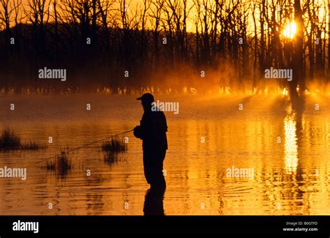 Trout Fly Fishing Outline Hi Res Stock Photography And Images Alamy