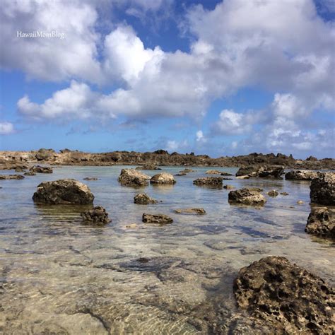 Hawaii Mom Blog: Pupukea Tide Pools