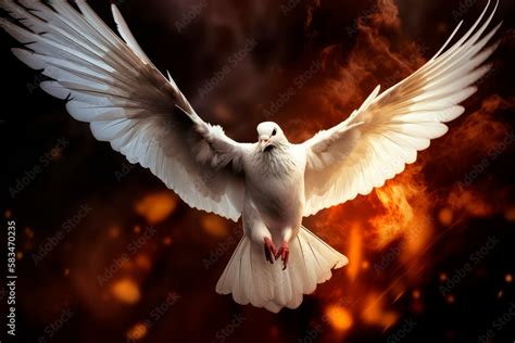 ภาพประกอบสตอก A white dove flies and to symbolise the Holy Spirit and