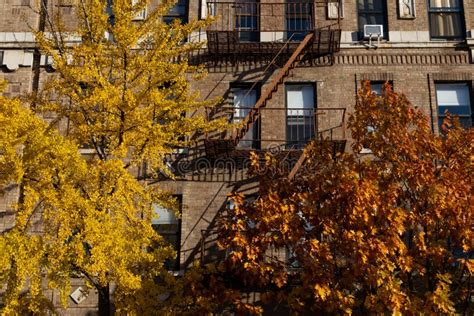 Generic Old Brick Apartment Building With Fire Escapes And Colorful