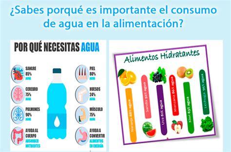 La Importancia Del Agua En La AlimentaciÓn Centro De Atención Neurológico Integral