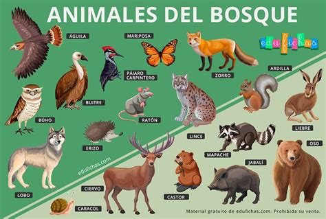 Animales del Bosque para Niños Fichas Juego Gratis en PDF Sketch