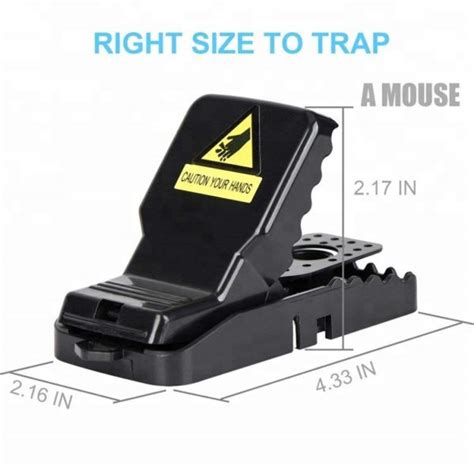 How to set a mouse trap more effective?