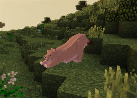 Zoo & Wild Animals Rebuilt Over 60 new Animals! Minecraft Mod