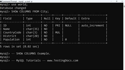 Mysql Database Metadata