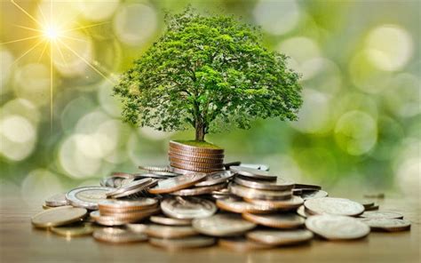 Descargar 4k árbol de dinero crecimiento del dinero capital árbol