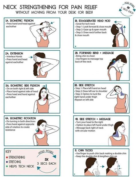 Best Neck Strengthening Exercises Artofit