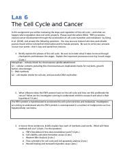 Lab Assignment Cell Cycle And Cancer Biol Docx Lab The