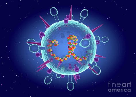 Influenza B Virus Photograph By Roger Harrisscience Photo Library