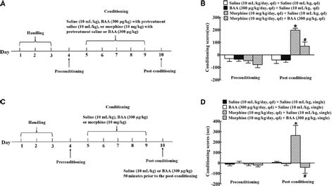 Frontiers Bulleyaconitine A Inhibits Morphine Induced Withdrawal