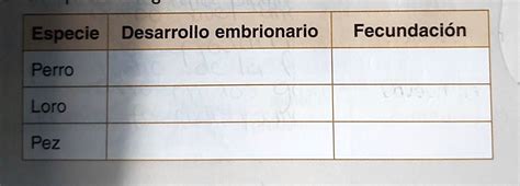 Solved 3 Desarrollo Embrionario Y Fecundación De Perro Loro Pez Especie Desarrollo Embrionario