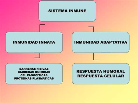 Ppt Inmunidad Powerpoint Presentation Id 5563496