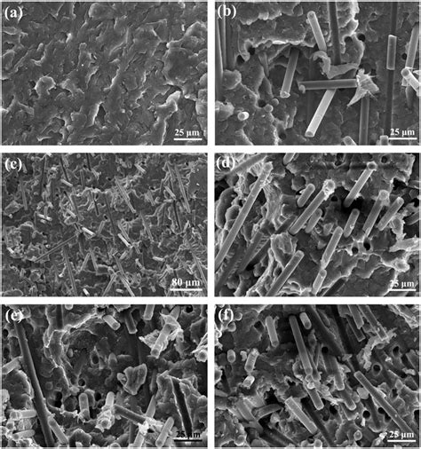 SEM Micrographs Of Impact Fracture Surfaces For A Pure POM And Its