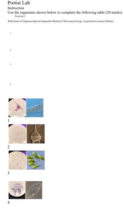 Solved Protist Lab Instruction Use The Organisms Shown Below